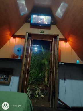 Cabaña bosque río celeste